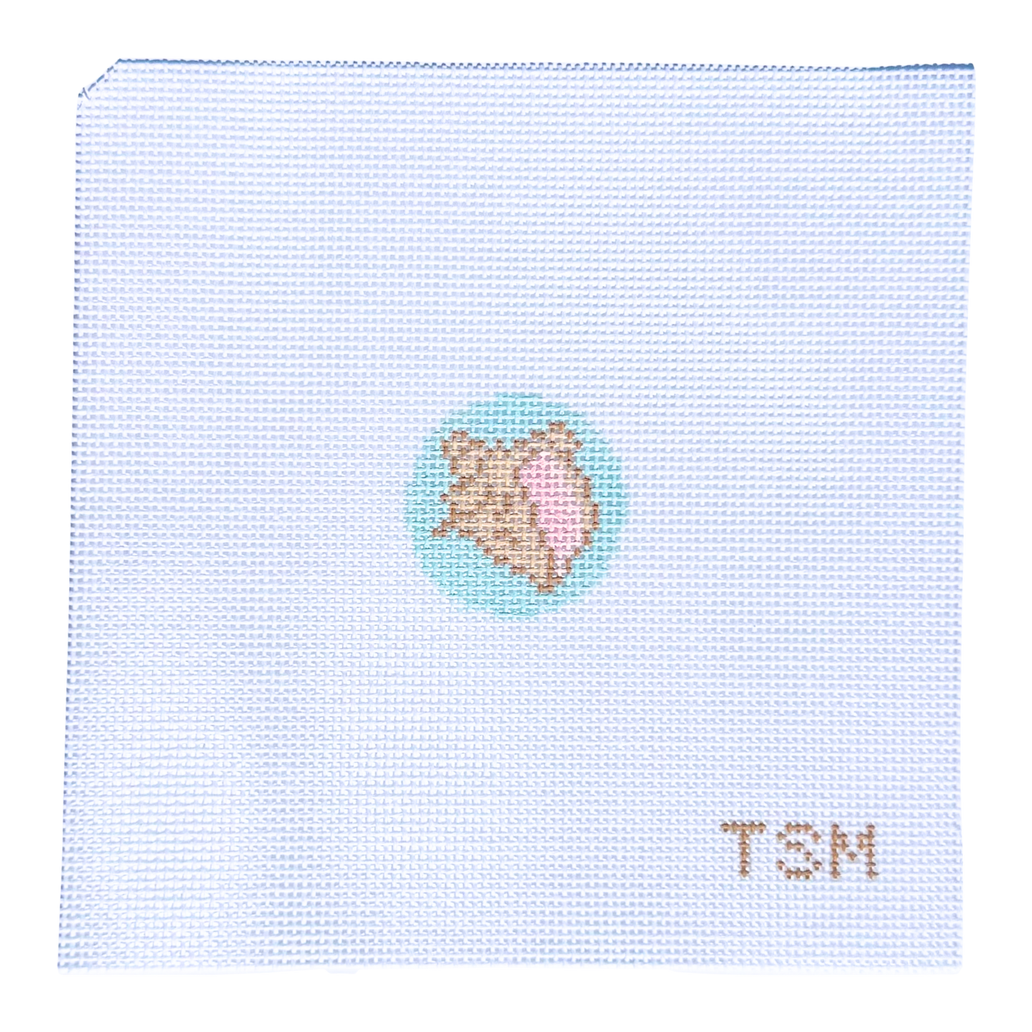 Conch Shell